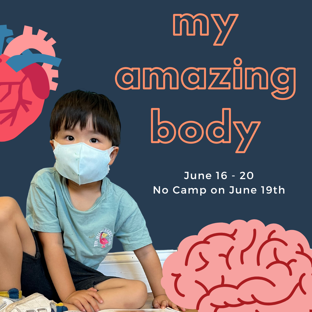 Week 01 - My Amazing Body