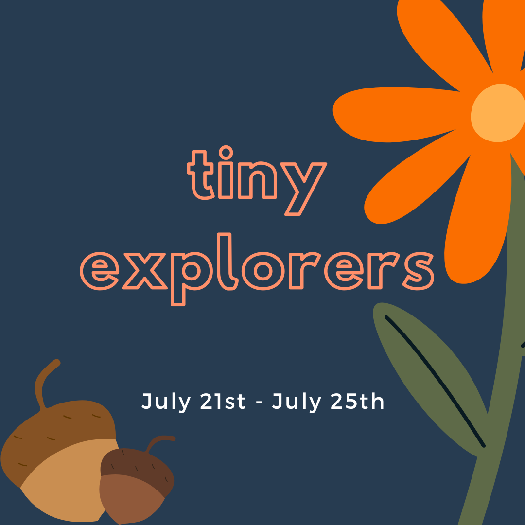 Week 06 - Tiny Explorers