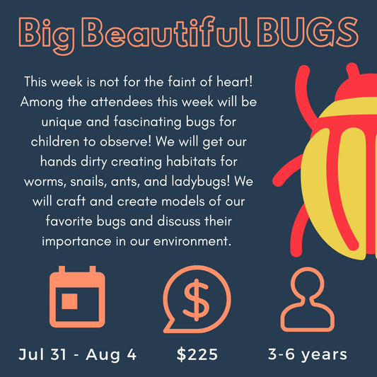 Week 08 - Big Beautiful Bugs